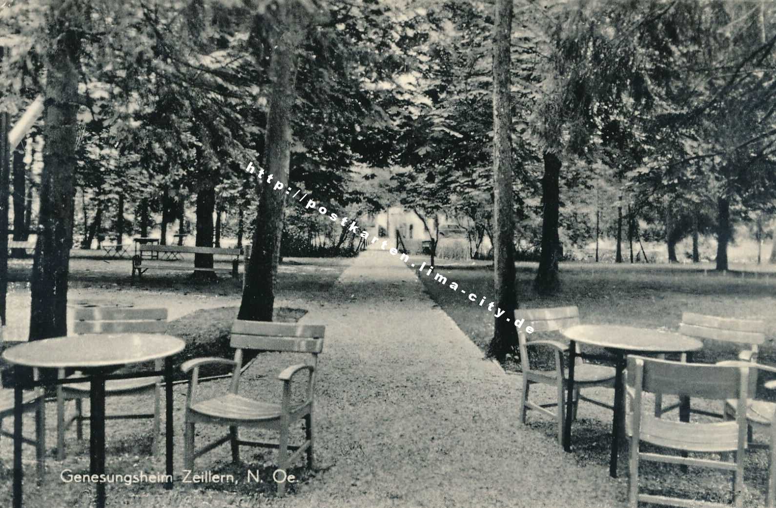 Zeillern Schloss Garten 1965